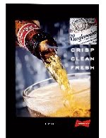 Budweiser Dart Mat