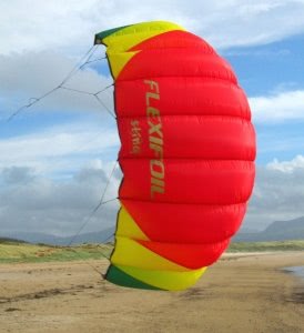 Flexifoil Sting 3.3m Power Kite