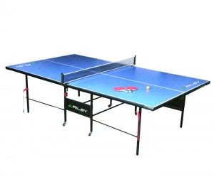 Riley 4 Piece 9 foot Table Tennis Table (ISD1173)