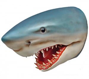 Shark Head Wall Mount 