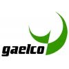 Gaelco Video Arcade Machines