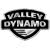 Valley Dynamo air hockey tables
