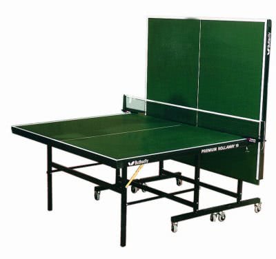 Agio Veranda on Butterfly Premium Rollaway 19 Table Tennis 1310119 Liberty Games