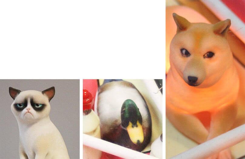 3D models