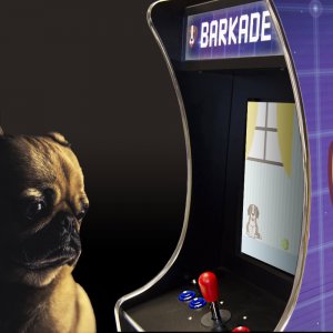 A pug playing the Barkade arcade game for dogs