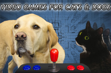 Arcade machines & games for cats and dogs