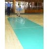 Shuffleboard - Maxi Roll-Out Court Package