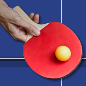 Table Tennis Bats