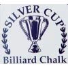 Silver Cup Pool Accessories