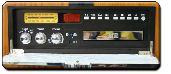 Steepletone BT CD Rock 25 control detail