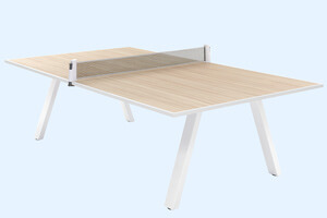 The Grasshoppers Indoor Tennis Table.