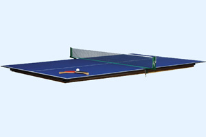 Optional table tennis top for the Eliminator pool table