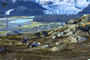 Online multiplayer capability Big Buck HD