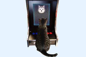 The Musemnts Rcade arcade machine for cats