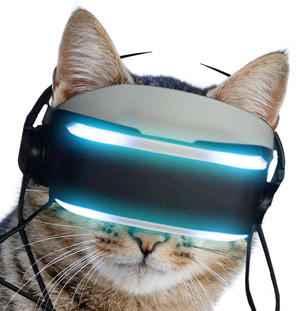 The Virtual Realiteh VR system for cats