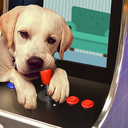 Chewing the joystick of the Barkade arcade machine for dogs