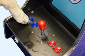 The controls on the Barkade arcade machine for dogs