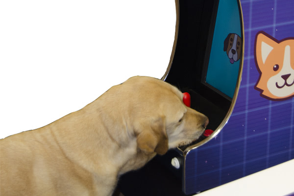 The Barkade arcade machine for dogs in action