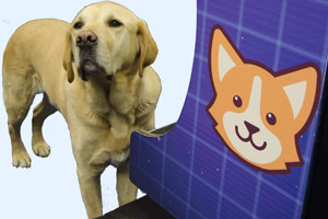 A dog plays the Barkade arcade game for dogs