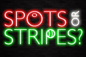 Spots or stripes neon bar light