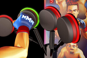 The MMA Test Speed arcade boxing machine.