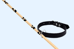 The Pawfect Pool Cue and its collar.