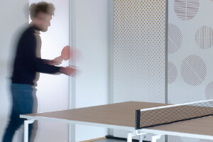 A game on the Spider table tennis table.