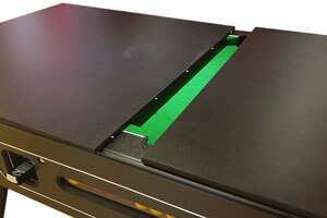 The Blackball pool with hard top.