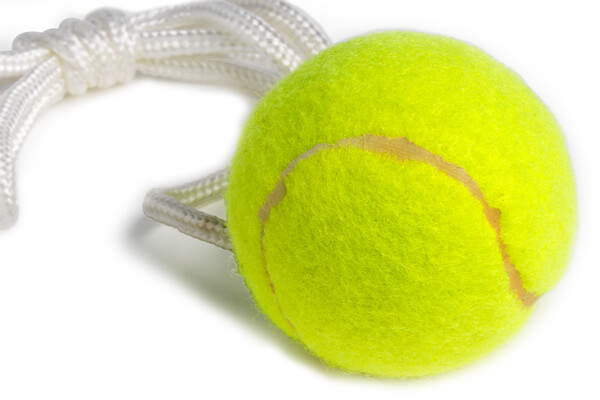 The Tether ball game ball.