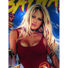 Baywatch Pinball
