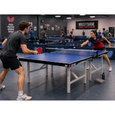 The Butterfly Europa 25 Indoor Table Tennis Table