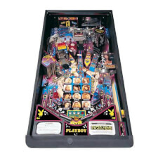 Stern Playboy playing field