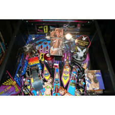 Stern Playboy playing field