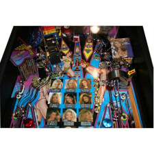 Stern Playboy Playing Field