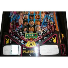 Stern Playboy Playing Field