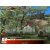 Primeval Hunt Gaming Image