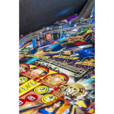 WWE Playfield Close 4