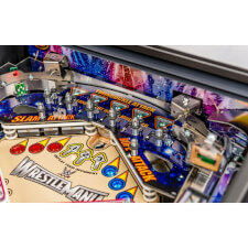 WWE Playfield Close 8