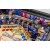 WWE Playfield Close 8