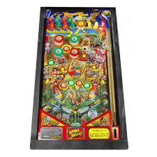 Whoa Nellie Playing Field