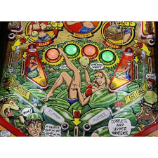 Whoa Nellie Playing Field