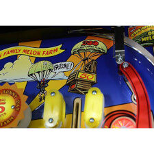 Whoa Nellie Playing Field Targets