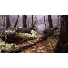 Big Buck HD Game Image