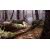 Big Buck HD Game Image