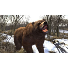 Big Buck HD Game Image