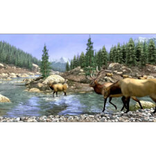 Big Buck HD Game Image