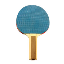 The Tekscore table tennis bat.