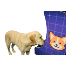 The Barkade arcade machine for dogs, viewed from the side