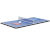 The table tennis game on the Goal table