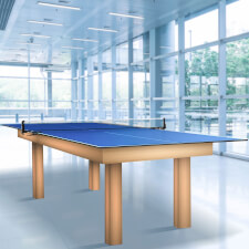 The Turn2Ping indoor tennis table top fitted